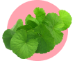 compoude_item_img_sentella